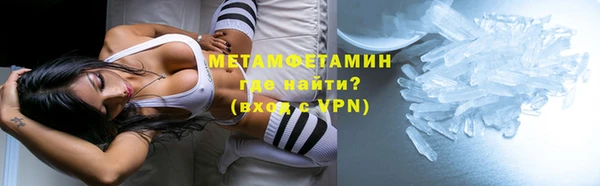 прущие грибы Костерёво