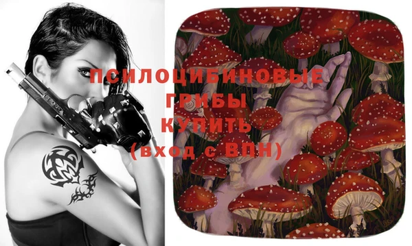 mix Армянск