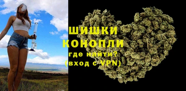 трава Аркадак