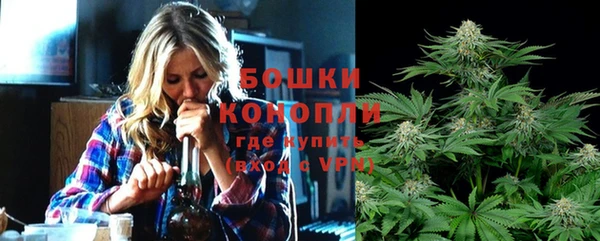 прущие грибы Костерёво