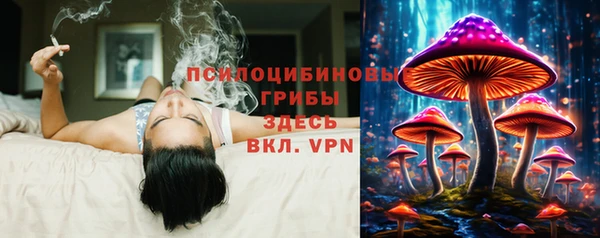 трава Аркадак