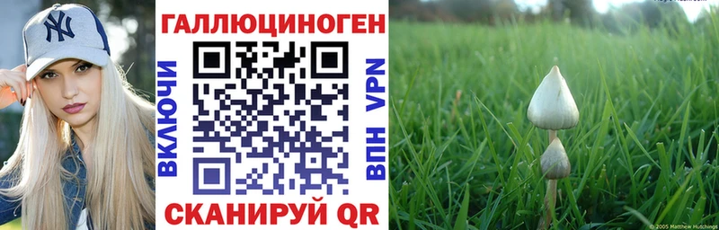 как найти Скопин Галлюциногенные грибы мухоморы
