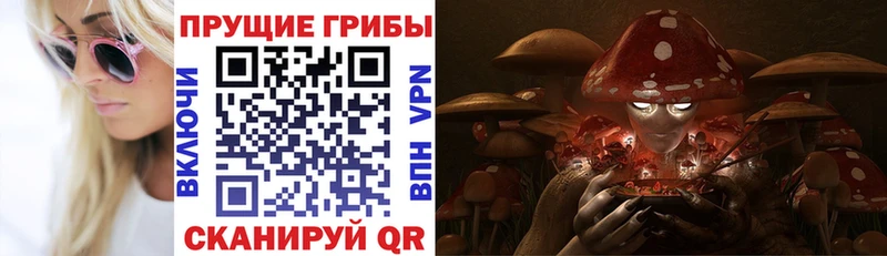 Галлюциногенные грибы MAGIC MUSHROOMS Скопин